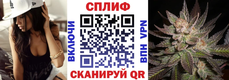 где купить наркоту  Заволжск  Каннабис ГИДРОПОН 